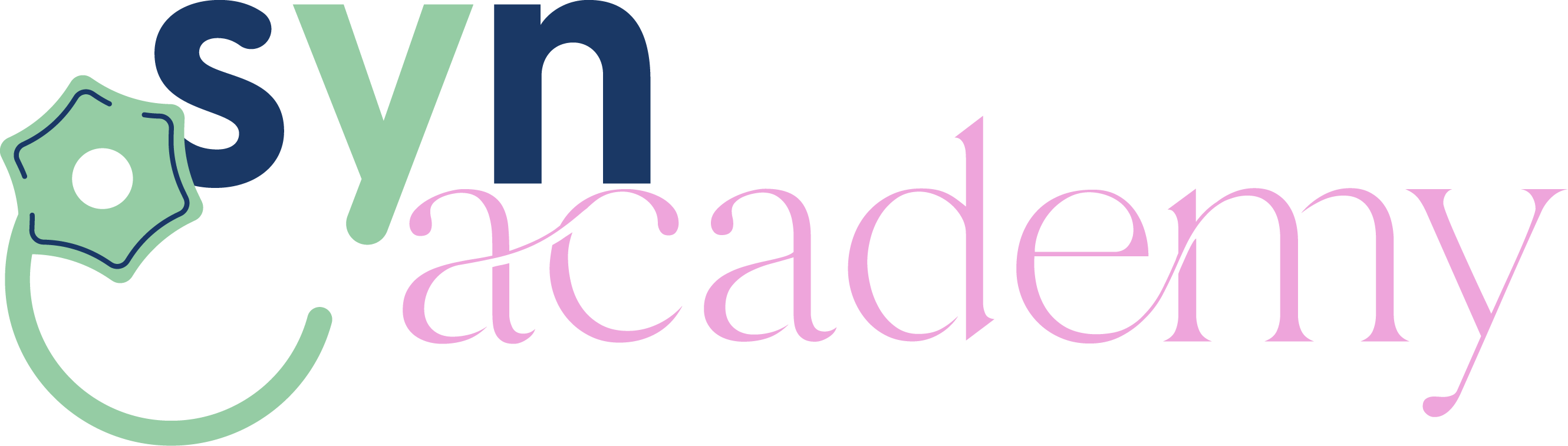 SynAcademy